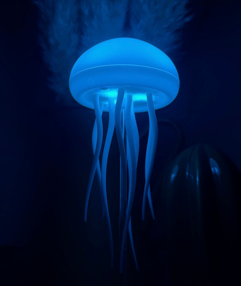 The Jellyfish Lamp