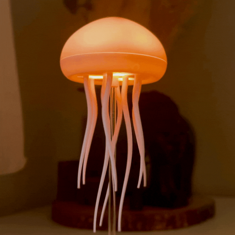 The Jellyfish Lamp